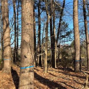 323 Vista Point Drive. Hampton VA. 23666.