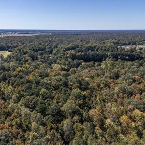 Photo #1 of parcel Seven Eleven Road, Chesapeake, Virginia 3.0 acres