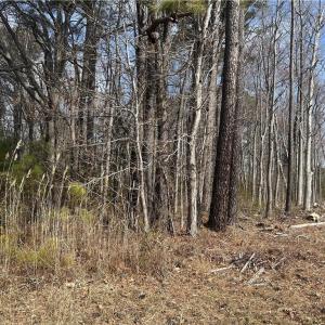 Photo #4 of 2402 Wolf Trap Road, Yorktown, Virginia 3.2 acres