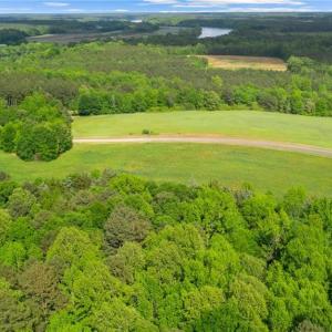 Photo #5 of lot 24 Boxwood Shores Drive, Boydton, Virginia 6.7 acres