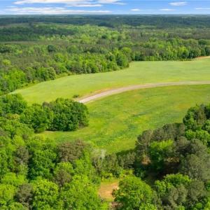 Photo #6 of lot 24 Boxwood Shores Drive, Boydton, Virginia 6.7 acres