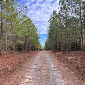 Photo #1 of 104 Ac Pope Swamp Trail, Windsor, Virginia 104.0 acres