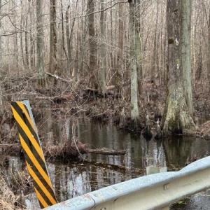 Photo #14 of 104 Ac Pope Swamp Trail, Windsor, Virginia 104.0 acres
