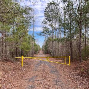 Photo #3 of 104 Ac Pope Swamp Trail, Windsor, Virginia 104.0 acres