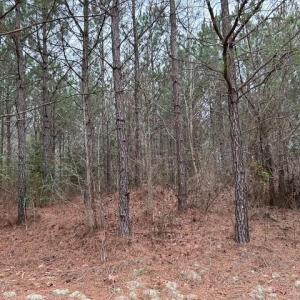 Photo #30 of 104 Ac Pope Swamp Trail, Windsor, Virginia 104.0 acres