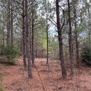 Photo #4 of 104 Ac Pope Swamp Trail, Windsor, Virginia 104.0 acres