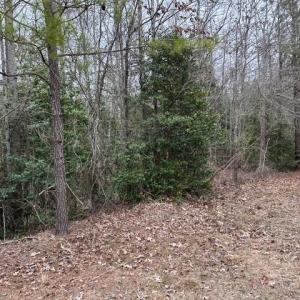 Photo #34 of 104 Ac Pope Swamp Trail, Windsor, Virginia 104.0 acres