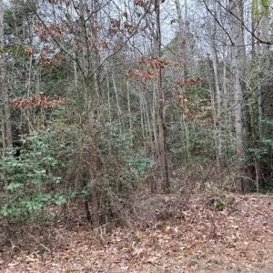 Photo #35 of 104 Ac Pope Swamp Trail, Windsor, Virginia 104.0 acres