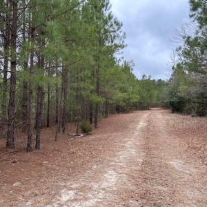 Photo #37 of 104 Ac Pope Swamp Trail, Windsor, Virginia 104.0 acres