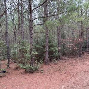 Photo #40 of 104 Ac Pope Swamp Trail, Windsor, Virginia 104.0 acres