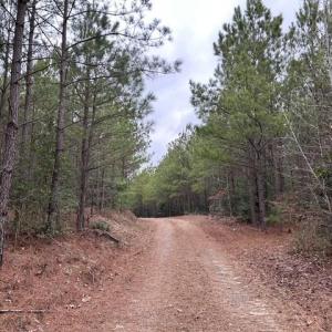 Photo #5 of 104 Ac Pope Swamp Trail, Windsor, Virginia 104.0 acres