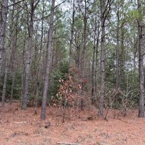 Photo #41 of 104 Ac Pope Swamp Trail, Windsor, Virginia 104.0 acres