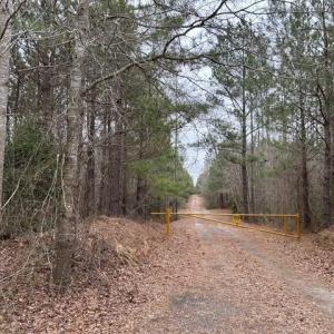Photo #44 of 104 Ac Pope Swamp Trail, Windsor, Virginia 104.0 acres