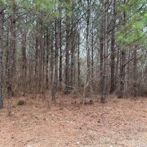 Photo #45 of 104 Ac Pope Swamp Trail, Windsor, Virginia 104.0 acres