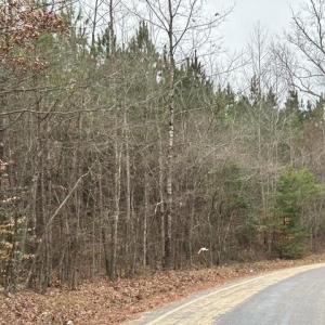Photo #46 of 104 Ac Pope Swamp Trail, Windsor, Virginia 104.0 acres