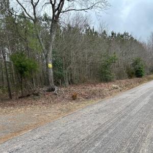 Photo #47 of 104 Ac Pope Swamp Trail, Windsor, Virginia 104.0 acres