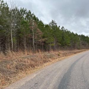 Photo #6 of 104 Ac Pope Swamp Trail, Windsor, Virginia 104.0 acres