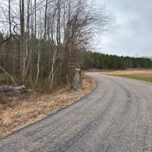 Photo #7 of 104 Ac Pope Swamp Trail, Windsor, Virginia 104.0 acres