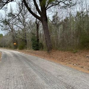 Photo #8 of 104 Ac Pope Swamp Trail, Windsor, Virginia 104.0 acres