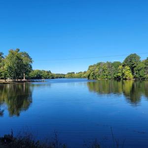 Photo #2 of 11.8AC Faison Road, Wakefield, Virginia 11.8 acres