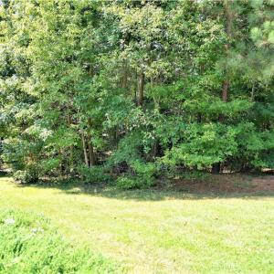 Lot line on left next to house and front of lot