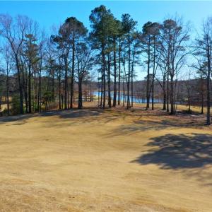 Aerial View across to the pond