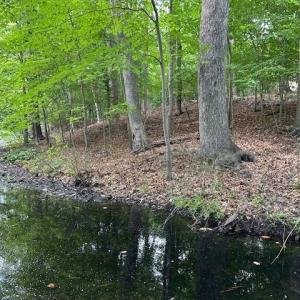 Photo #12 of 917 Lacon Drive, Newport News, Virginia 0.9 acres