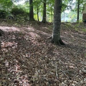 Photo #13 of 917 Lacon Drive, Newport News, Virginia 0.9 acres