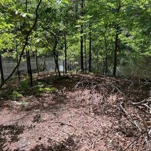 Photo #14 of 917 Lacon Drive, Newport News, Virginia 0.9 acres