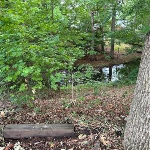 Photo #4 of 917 Lacon Drive, Newport News, Virginia 0.9 acres