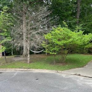 Photo #9 of 917 Lacon Drive, Newport News, Virginia 0.9 acres