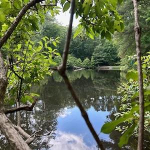 Photo #2 of 158 Highwood Circle, Newport News, Virginia 0.9 acres
