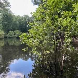 Photo #18 of 158 Highwood Circle, Newport News, Virginia 0.9 acres