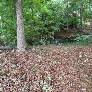 Photo #3 of 158 Highwood Circle, Newport News, Virginia 0.9 acres