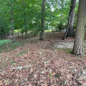 Photo #5 of 158 Highwood Circle, Newport News, Virginia 0.9 acres