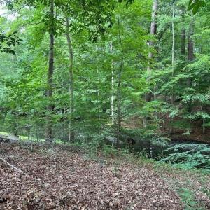 Photo #8 of 158 Highwood Circle, Newport News, Virginia 0.9 acres