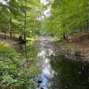 Photo #10 of 158 Highwood Circle, Newport News, Virginia 0.9 acres