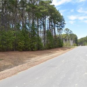 Photo #1 of 1314 Lawnes Neck Drive, Smithfield, Virginia 3.3 acres