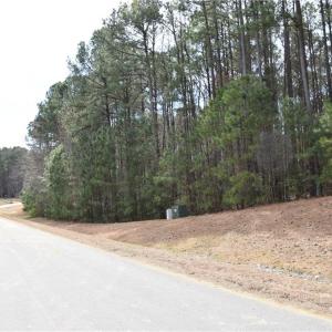 Photo #3 of 1314 Lawnes Neck Drive, Smithfield, Virginia 3.3 acres