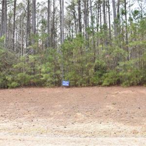 Photo #6 of 1314 Lawnes Neck Drive, Smithfield, Virginia 3.3 acres