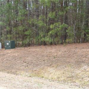 Photo #4 of 1314 Lawnes Neck Drive, Smithfield, Virginia 3.3 acres