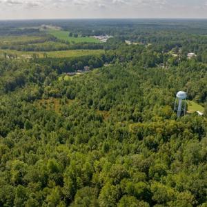 Photo #11 of 26+AC Nottoway Drive, Courtland, Virginia 26.7 acres