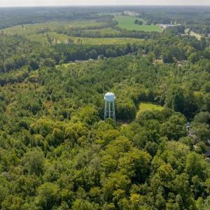 Photo #12 of 26+AC Nottoway Drive, Courtland, Virginia 26.7 acres