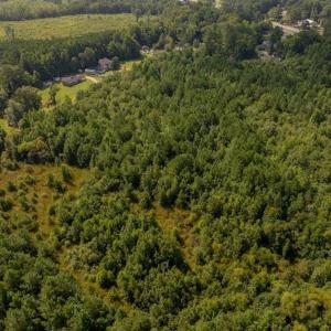 Photo #13 of 26+AC Nottoway Drive, Courtland, Virginia 26.7 acres