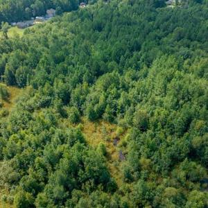 Photo #14 of 26+AC Nottoway Drive, Courtland, Virginia 26.7 acres
