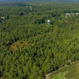 Photo #4 of 26+AC Nottoway Drive, Courtland, Virginia 26.7 acres
