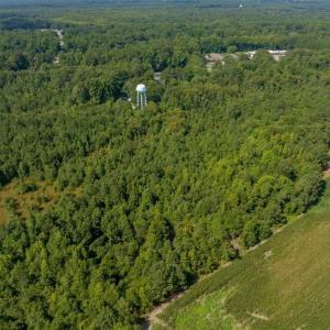 Photo #5 of 26+AC Nottoway Drive, Courtland, Virginia 26.7 acres