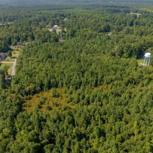 Photo #6 of 26+AC Nottoway Drive, Courtland, Virginia 26.7 acres