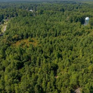 Photo #7 of 26+AC Nottoway Drive, Courtland, Virginia 26.7 acres