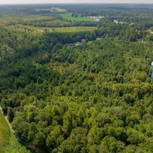 Photo #10 of 26+AC Nottoway Drive, Courtland, Virginia 26.7 acres